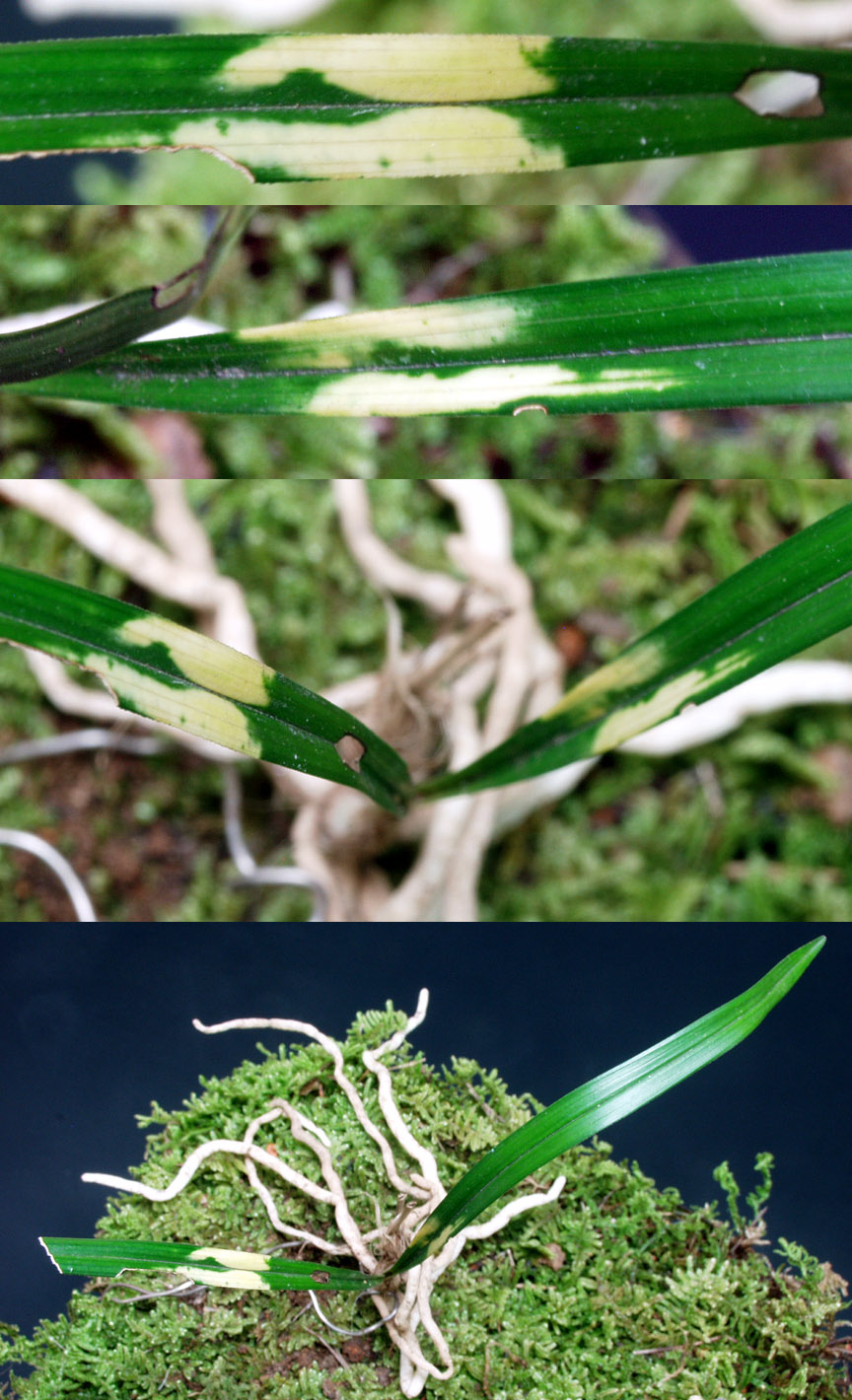 ������ ū������ �� �� �ֽ��ϴ�.