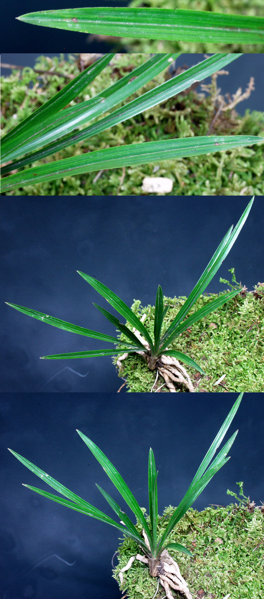 ������ ū������ �� �� �ֽ��ϴ�.