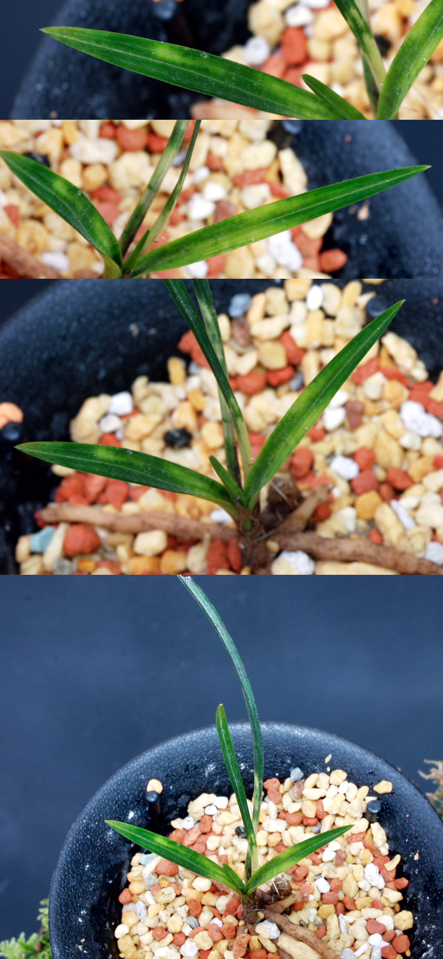 ������ ū������ �� �� �ֽ��ϴ�.