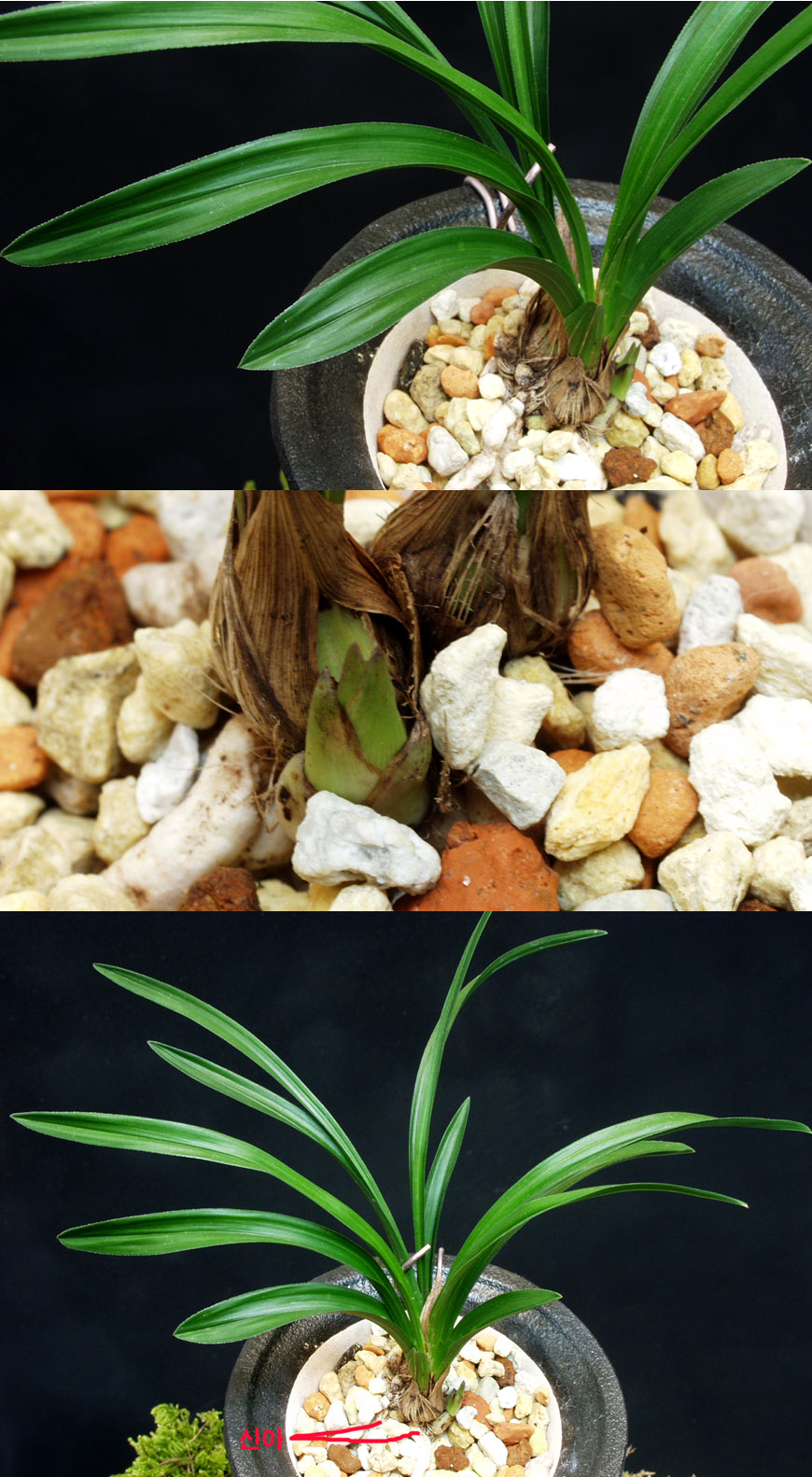 ������ ū������ �� �� �ֽ��ϴ�.