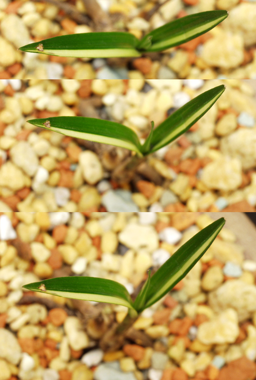 ������ ū������ �� �� �ֽ��ϴ�.