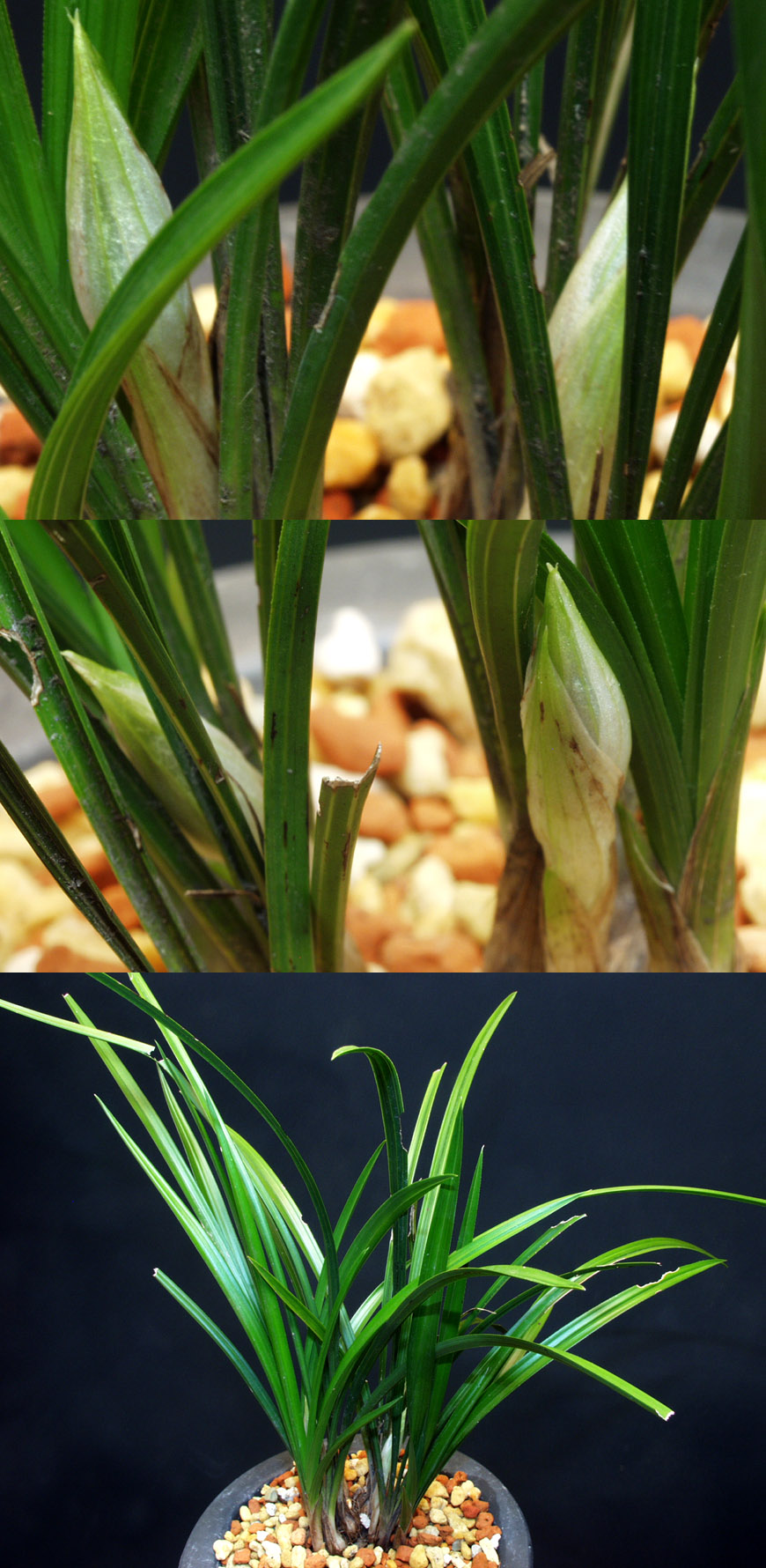 ������ ū������ �� �� �ֽ��ϴ�.