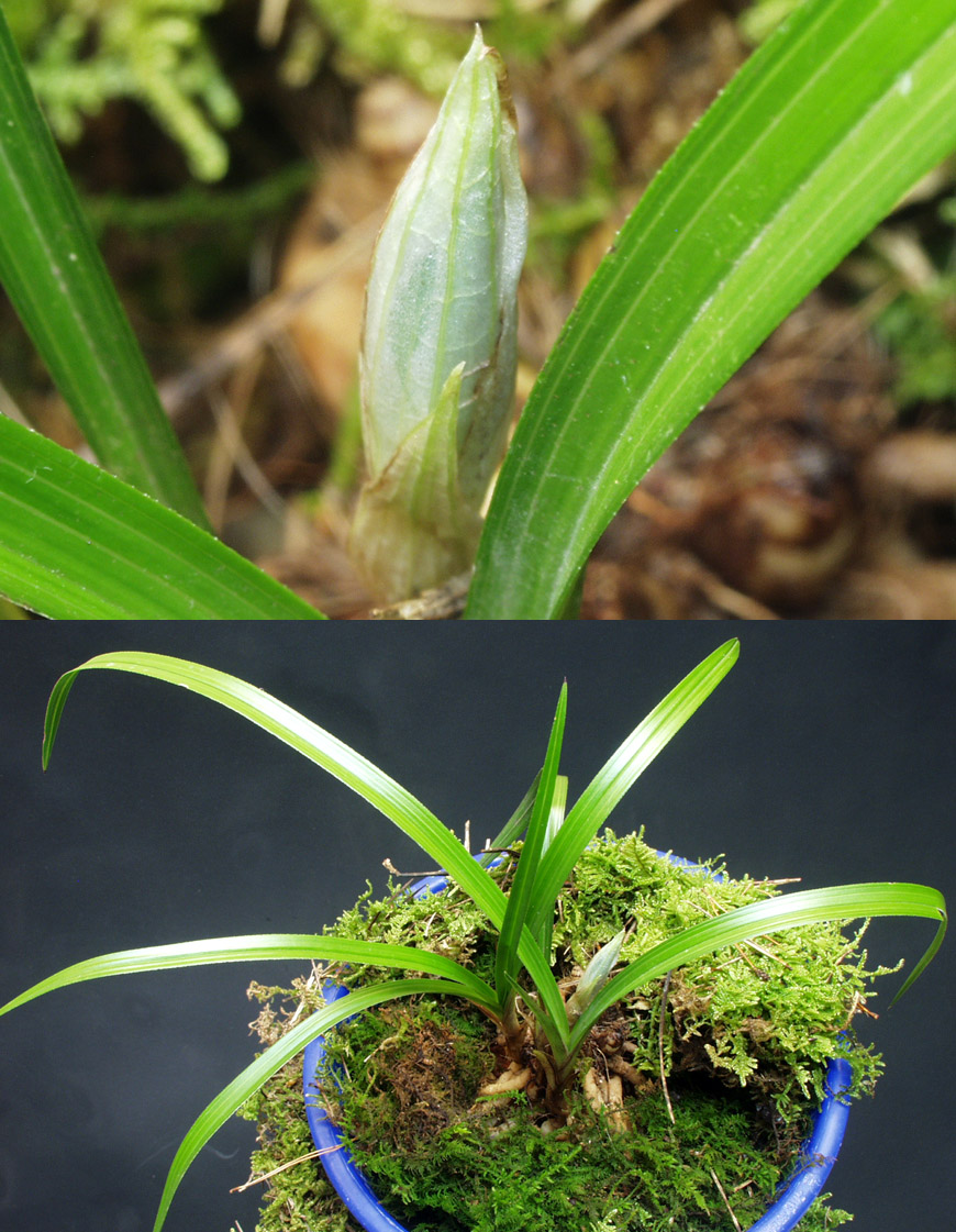 ������ ū������ �� �� �ֽ��ϴ�.