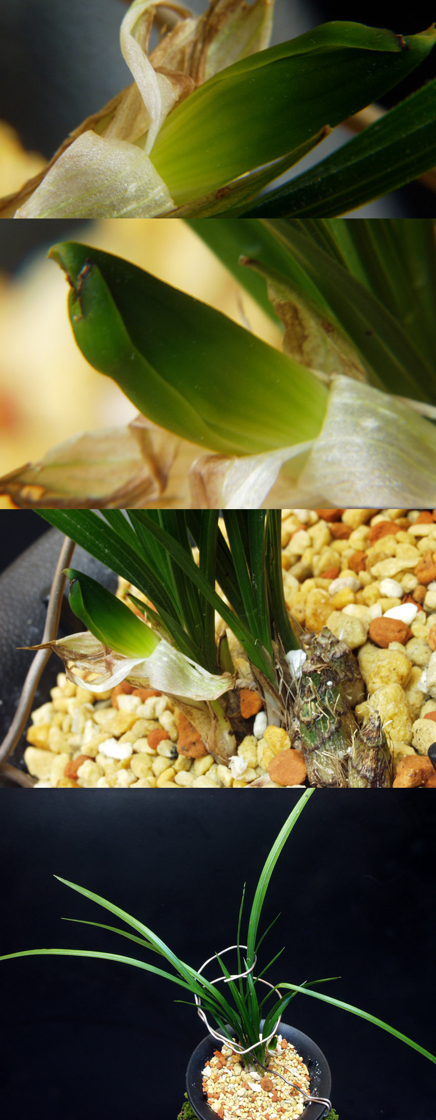 ������ ū������ �� �� �ֽ��ϴ�.