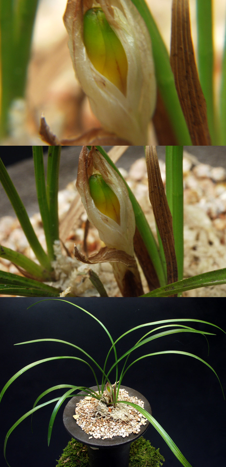 ������ ū������ �� �� �ֽ��ϴ�.