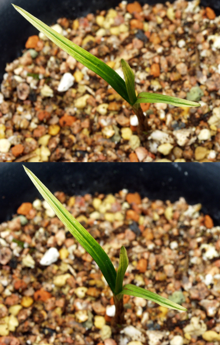 ������ ū������ �� �� �ֽ��ϴ�.