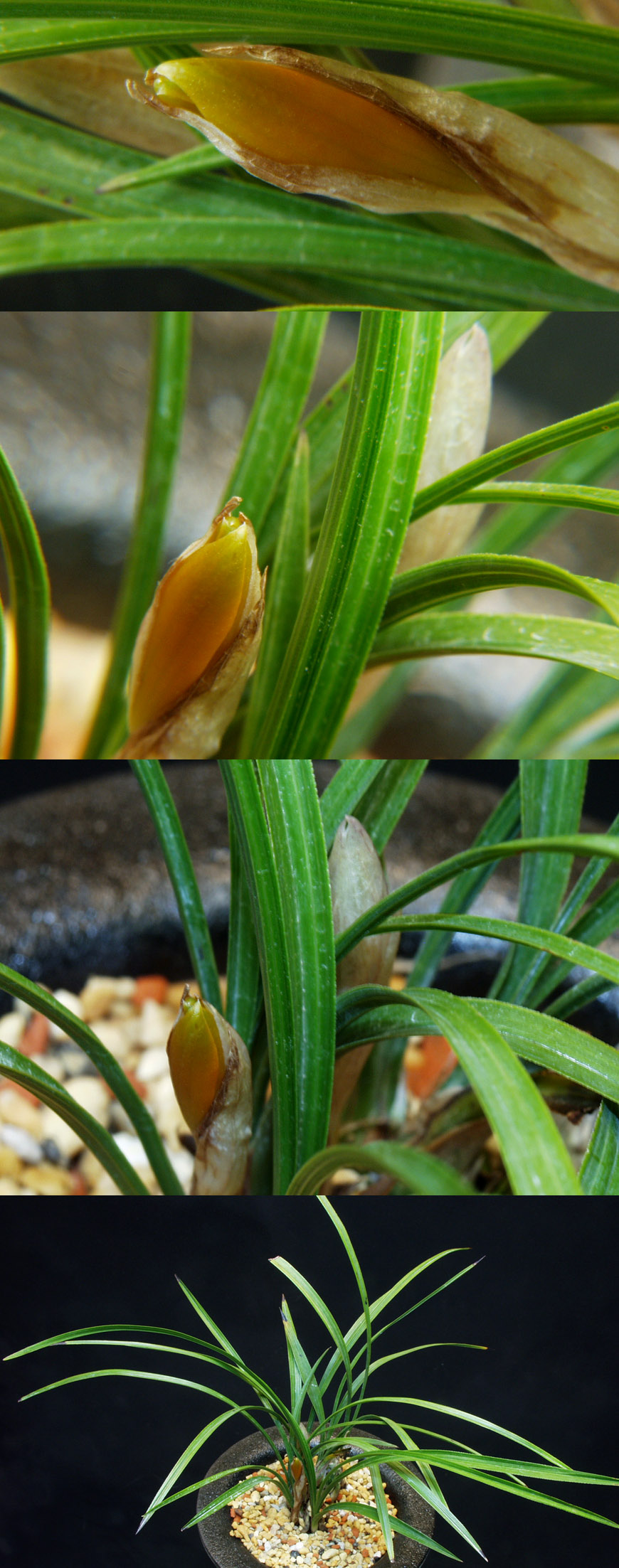 ������ ū������ �� �� �ֽ��ϴ�.