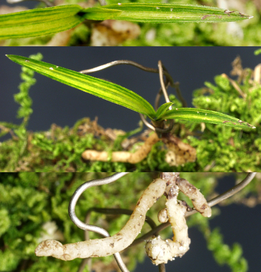 ������ ū������ �� �� �ֽ��ϴ�.