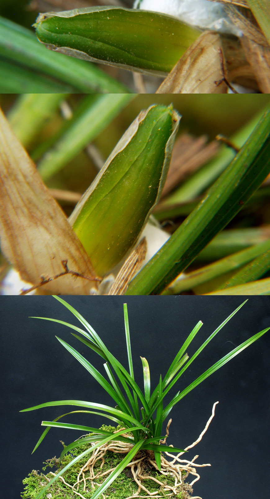 ������ ū������ �� �� �ֽ��ϴ�.