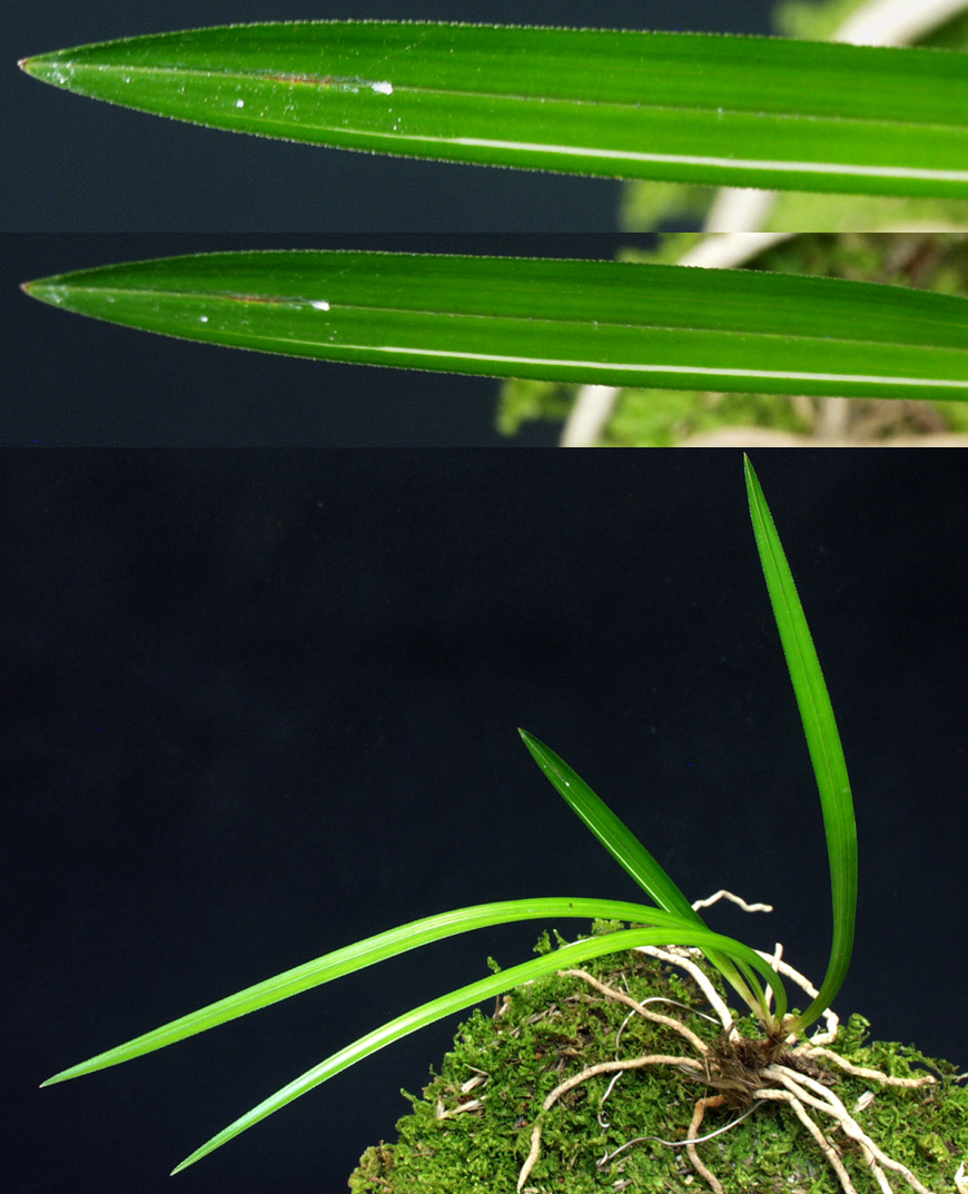 ������ ū������ �� �� �ֽ��ϴ�.