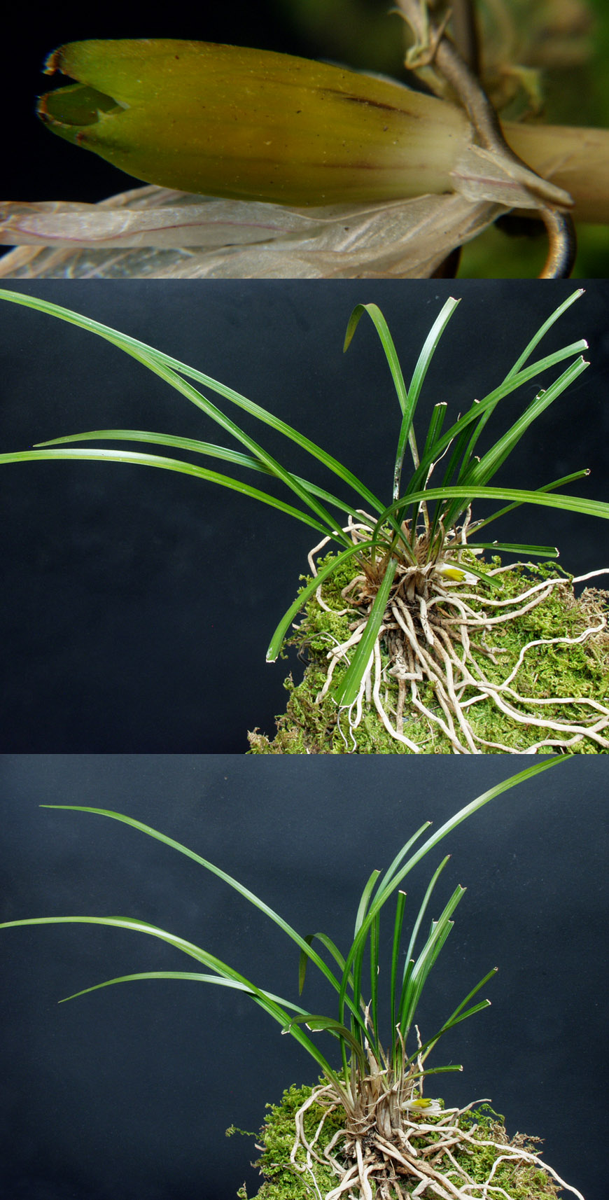 ������ ū������ �� �� �ֽ��ϴ�.