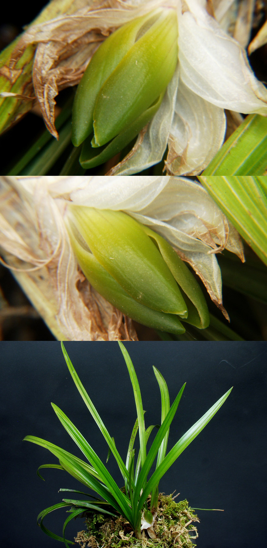 ������ ū������ �� �� �ֽ��ϴ�.