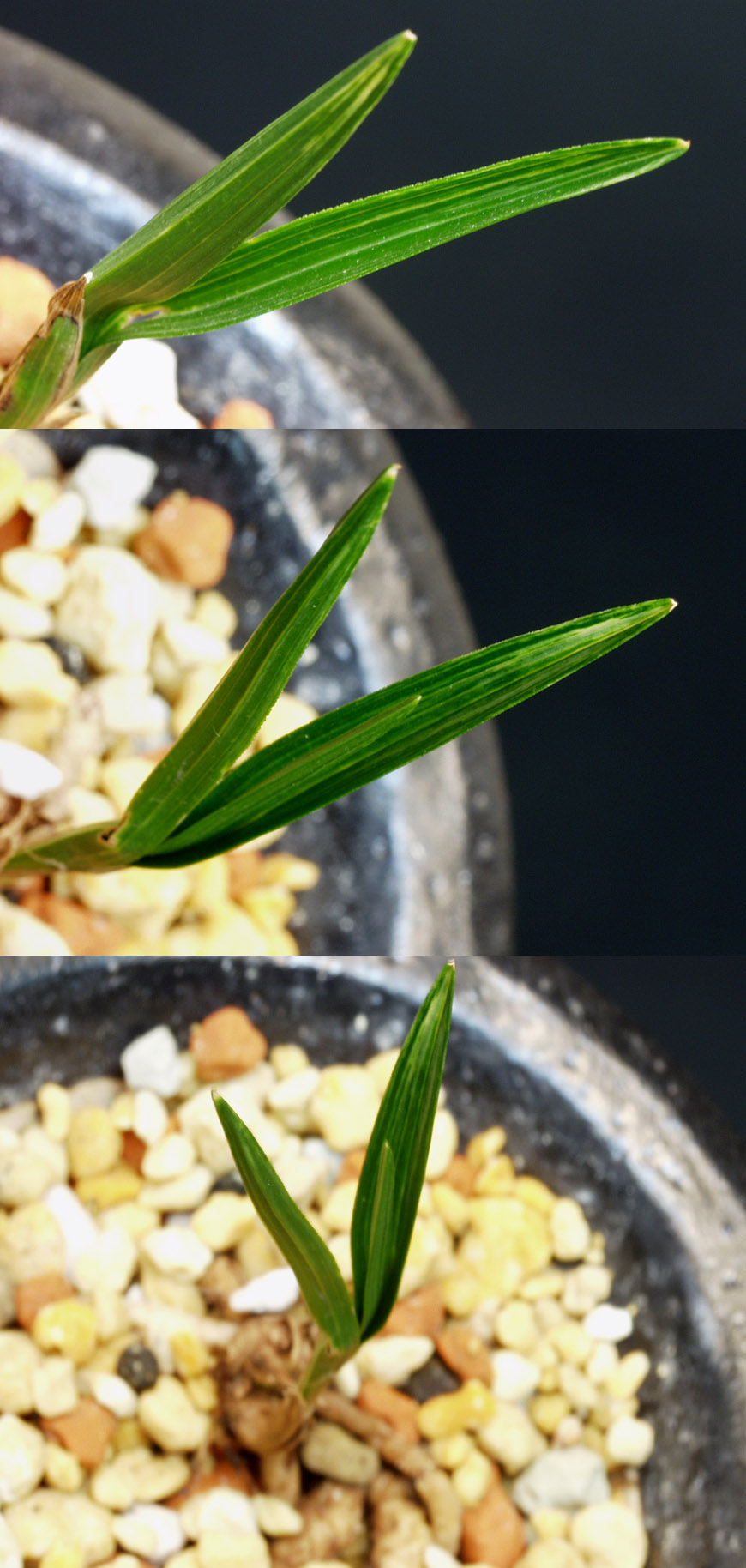 ������ ū������ �� �� �ֽ��ϴ�.