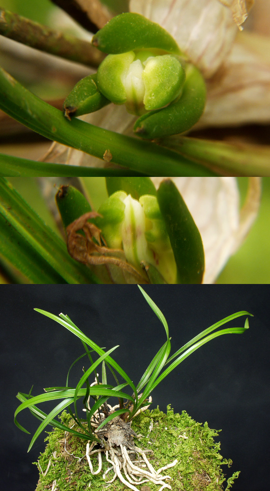 ������ ū������ �� �� �ֽ��ϴ�.