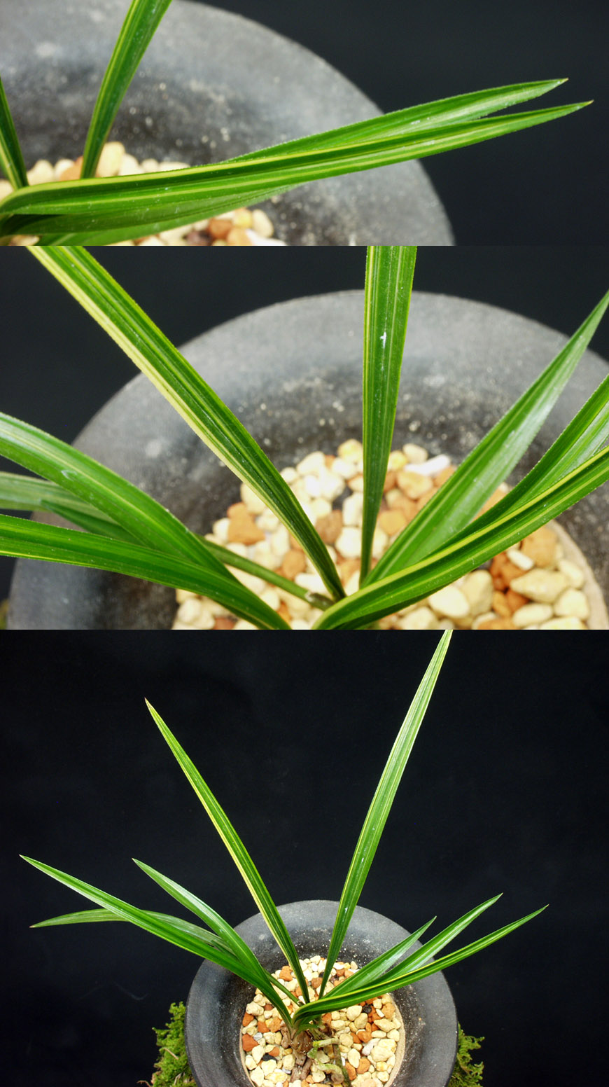 ������ ū������ �� �� �ֽ��ϴ�.