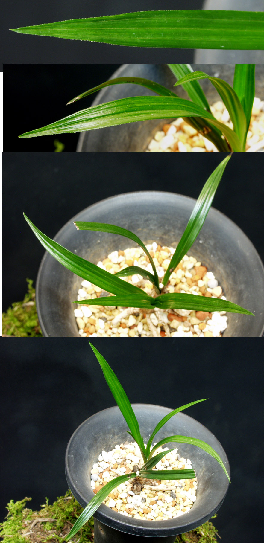 ������ ū������ �� �� �ֽ��ϴ�.