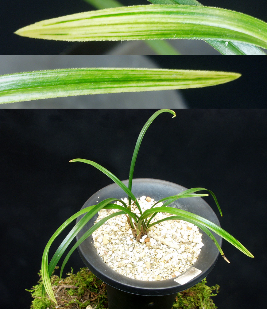 ������ ū������ �� �� �ֽ��ϴ�.