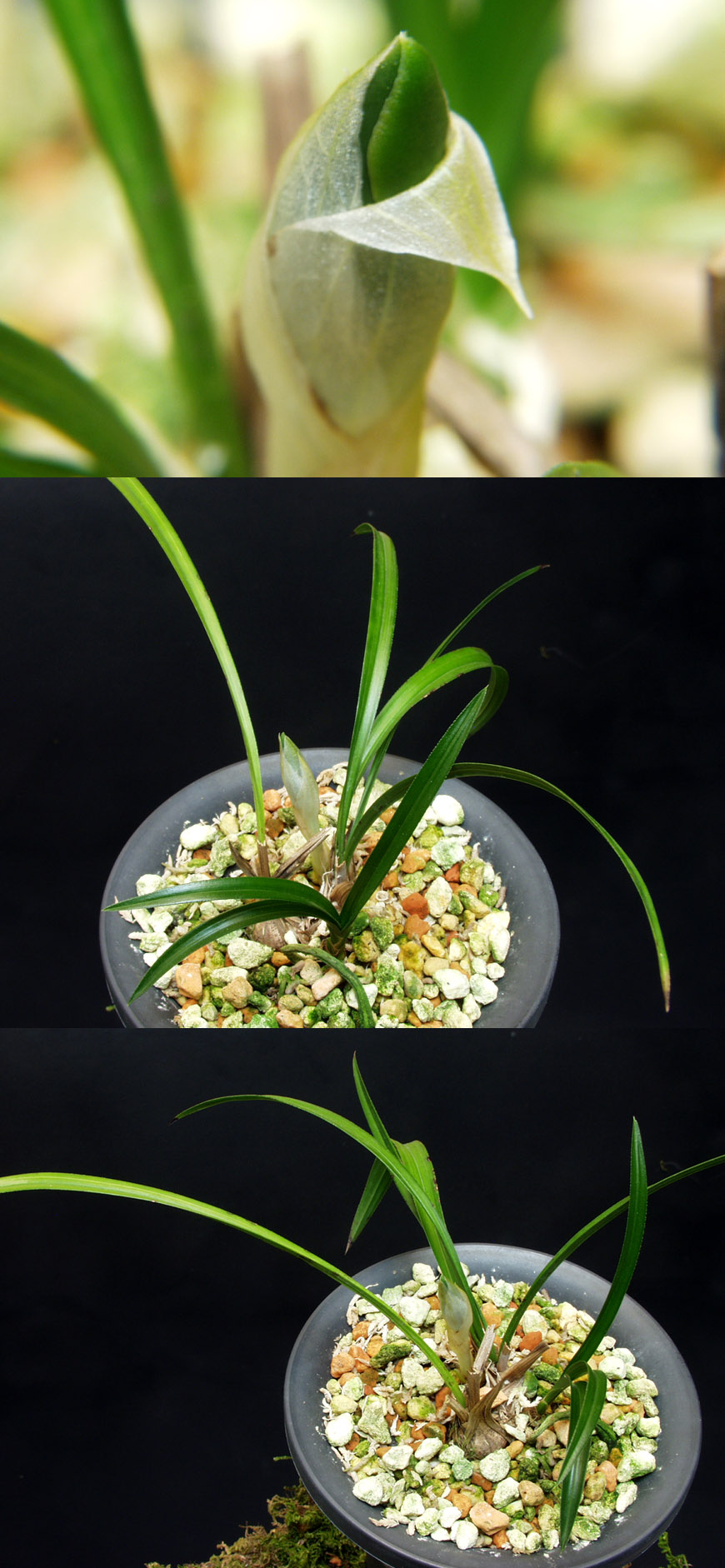 ������ ū������ �� �� �ֽ��ϴ�.