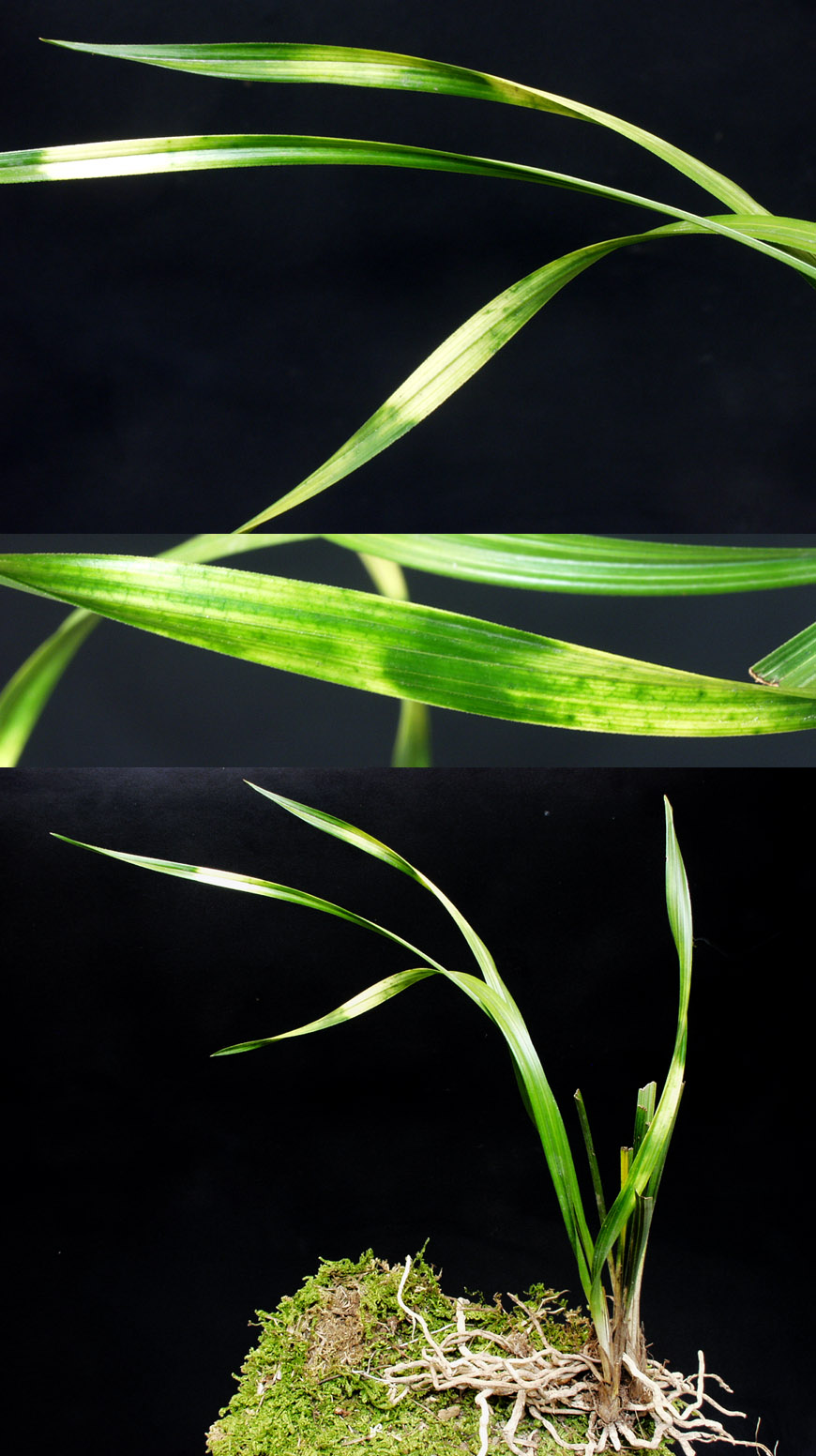 ������ ū������ �� �� �ֽ��ϴ�.