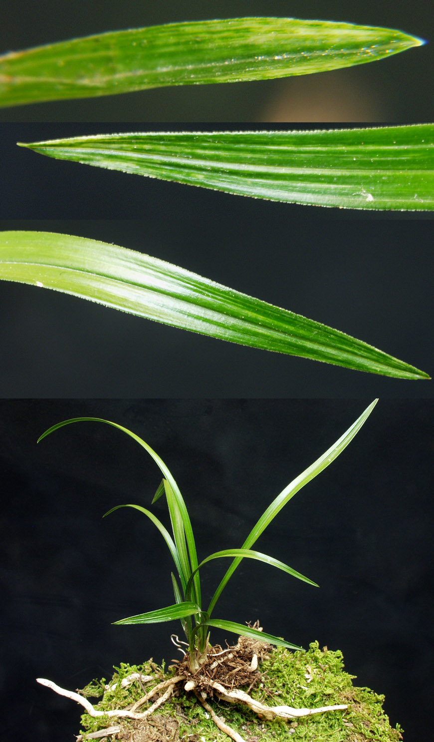 ������ ū������ �� �� �ֽ��ϴ�.