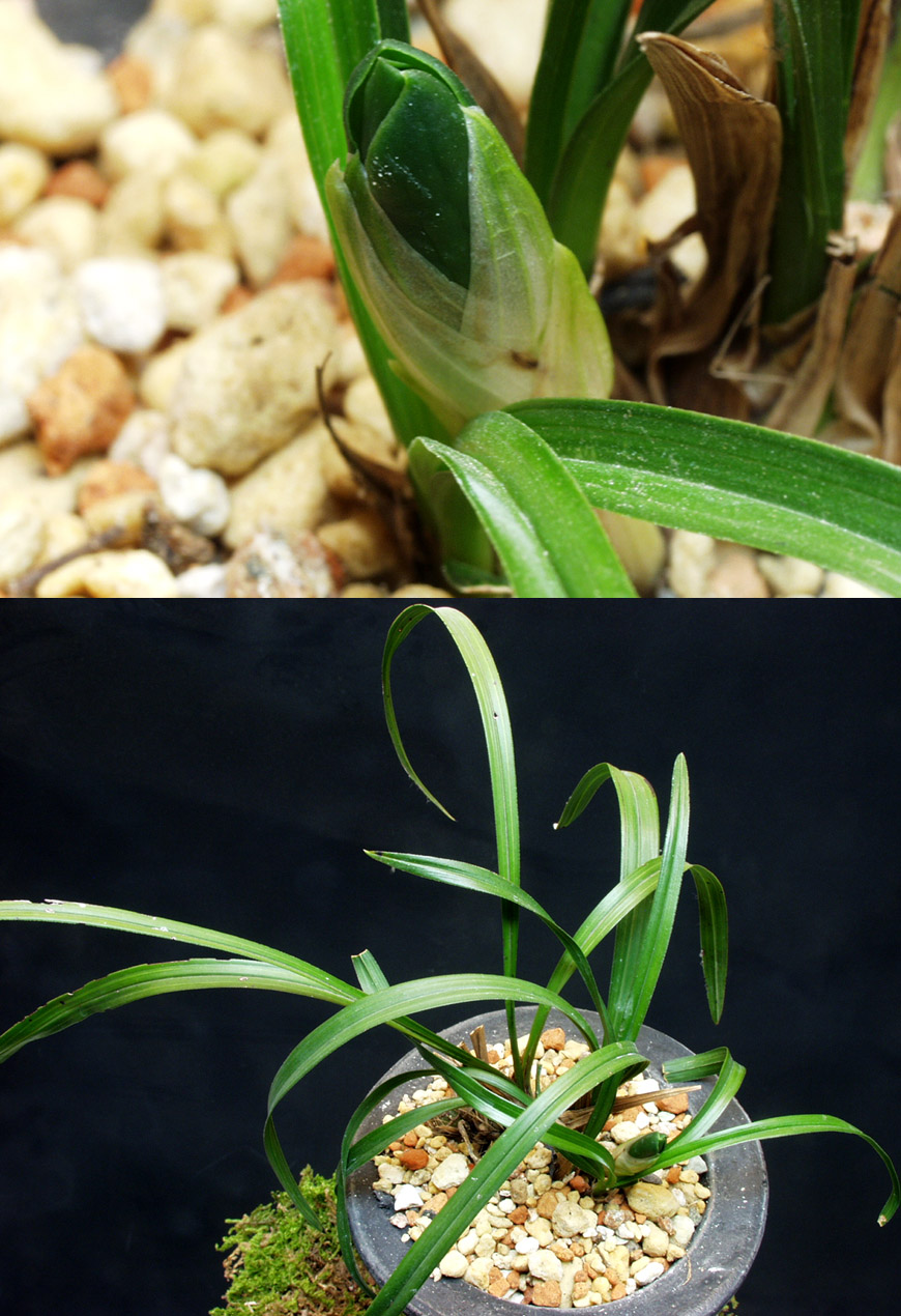 ������ ū������ �� �� �ֽ��ϴ�.