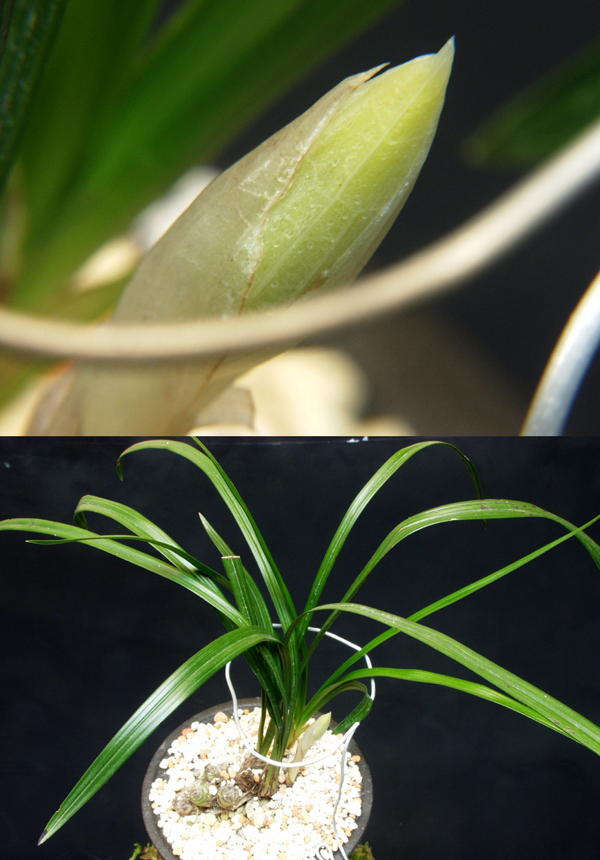 ������ ū������ �� �� �ֽ��ϴ�.