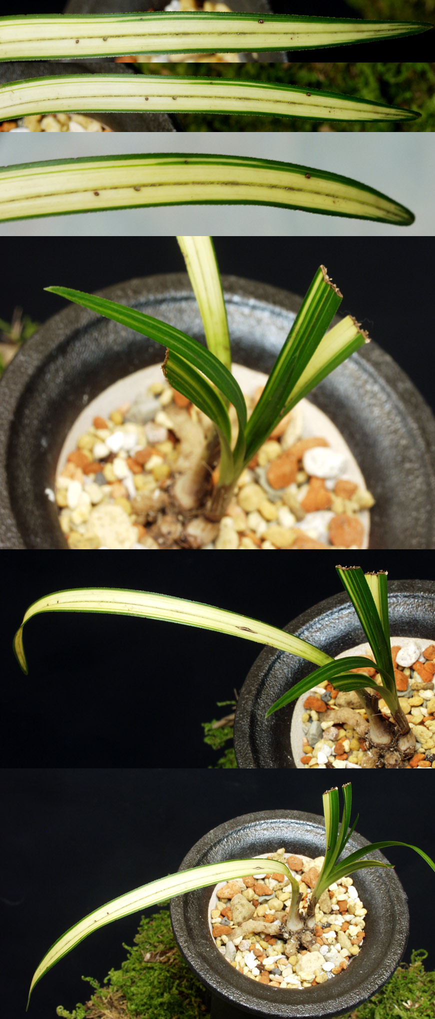 ������ ū������ �� �� �ֽ��ϴ�.