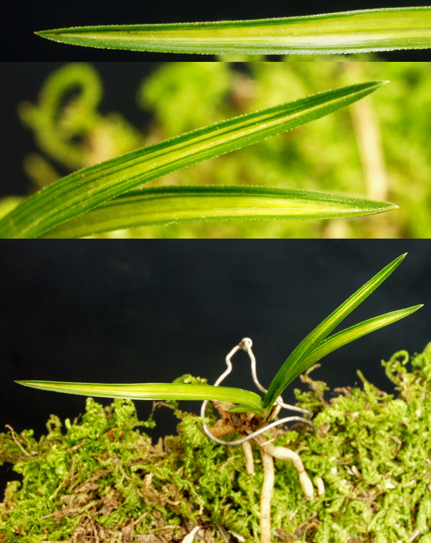 ������ ū������ �� �� �ֽ��ϴ�.