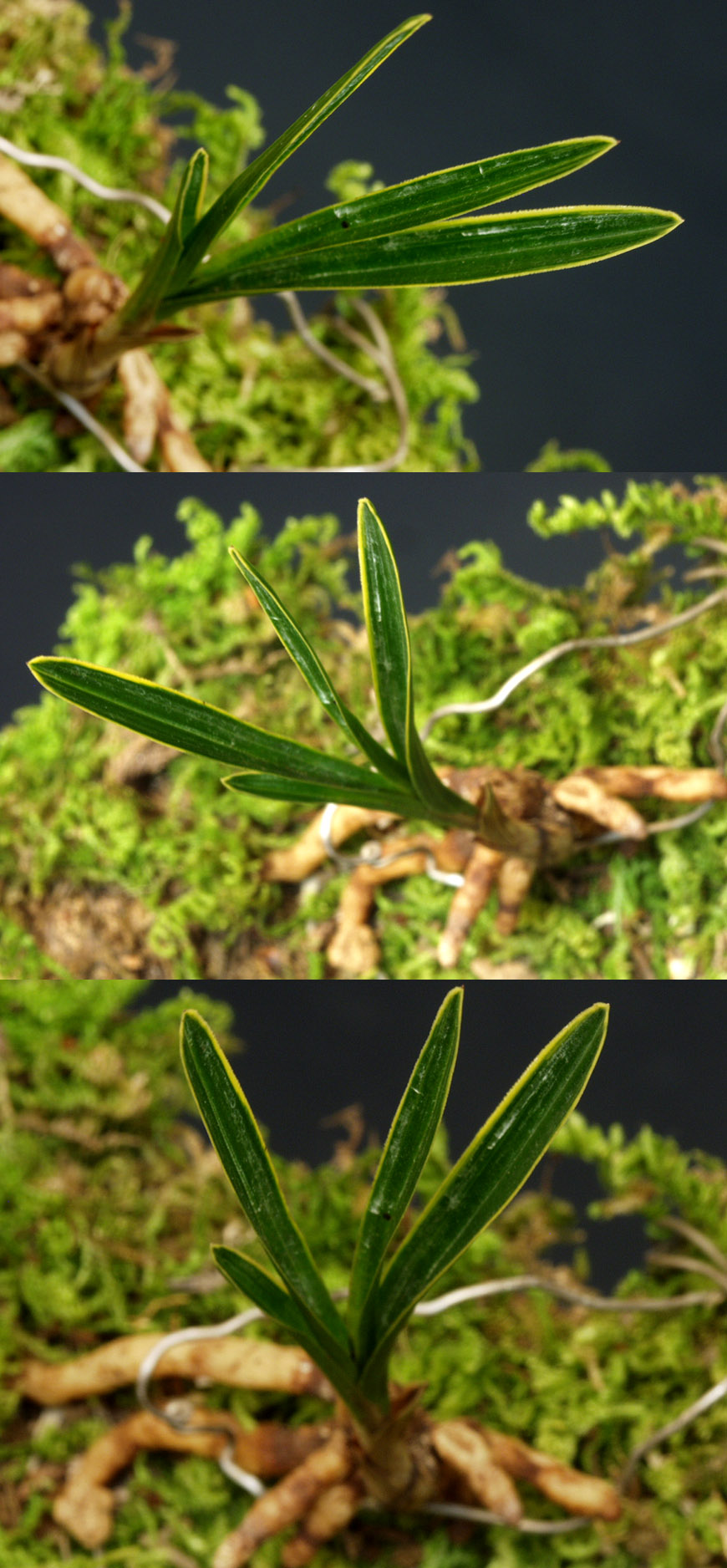 ������ ū������ �� �� �ֽ��ϴ�.