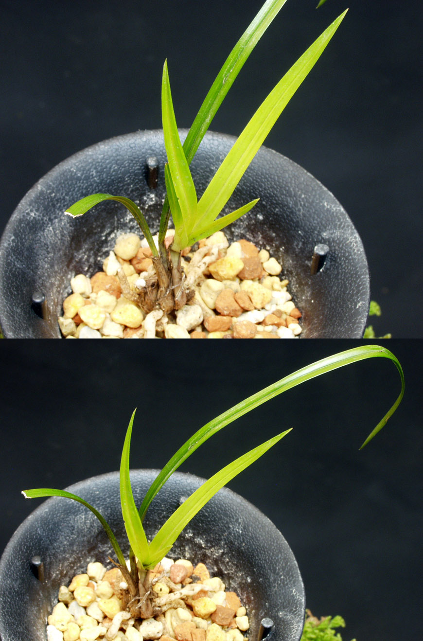 ������ ū������ �� �� �ֽ��ϴ�.