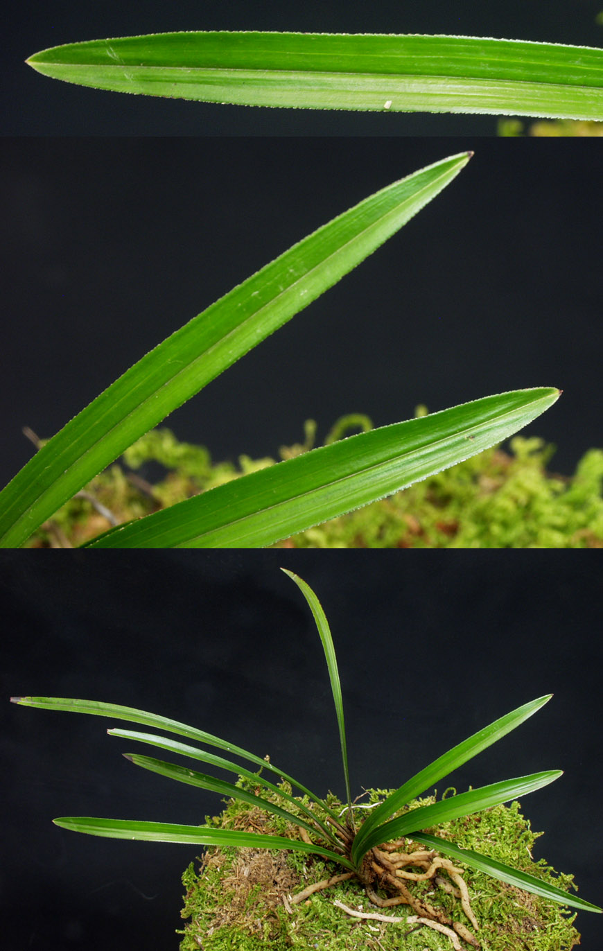 ������ ū������ �� �� �ֽ��ϴ�.