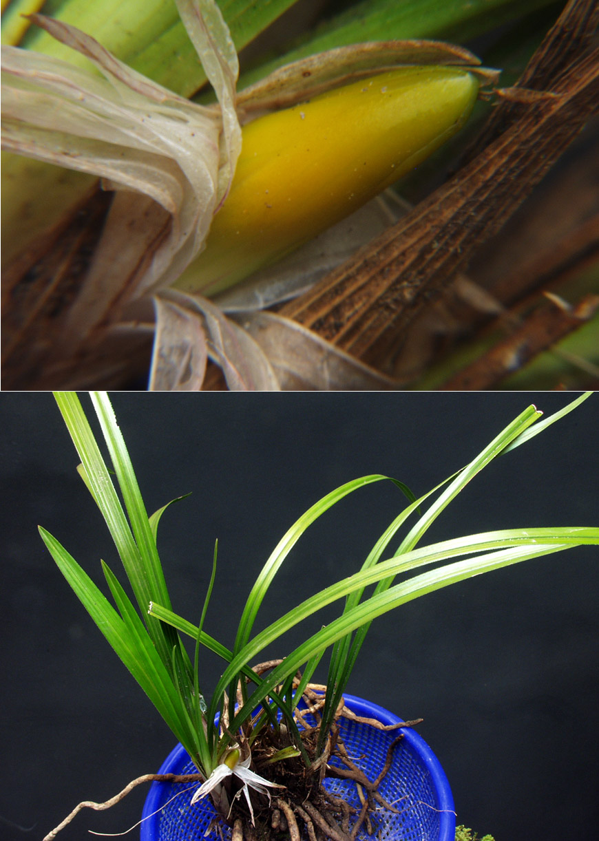 ������ ū������ �� �� �ֽ��ϴ�.