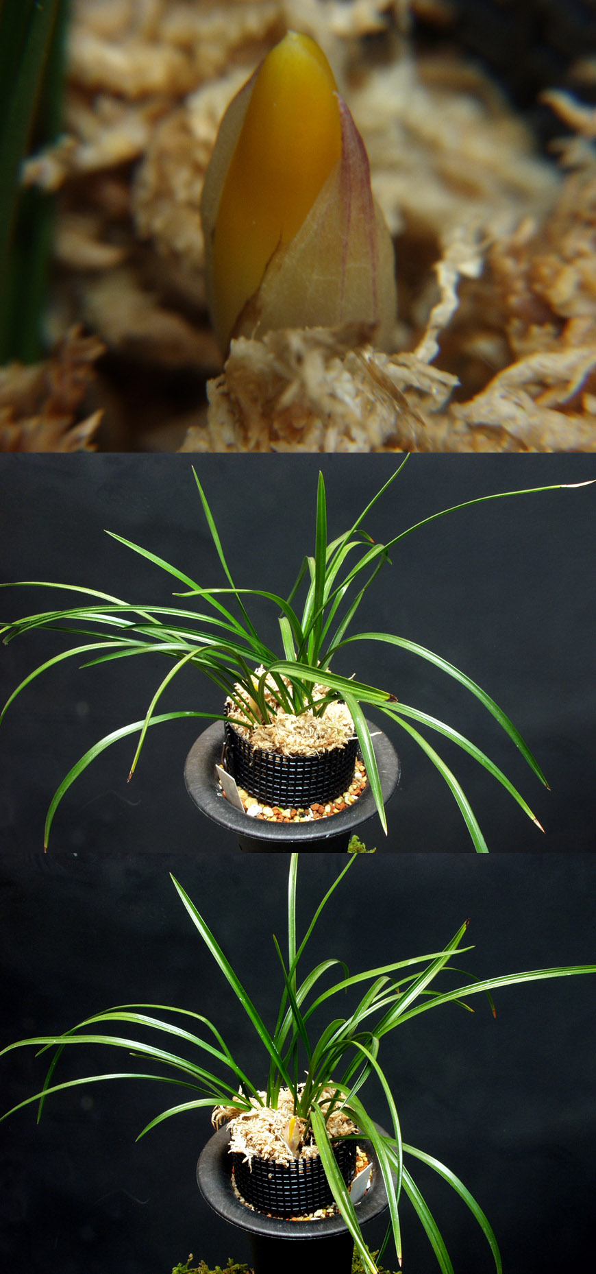 ������ ū������ �� �� �ֽ��ϴ�.