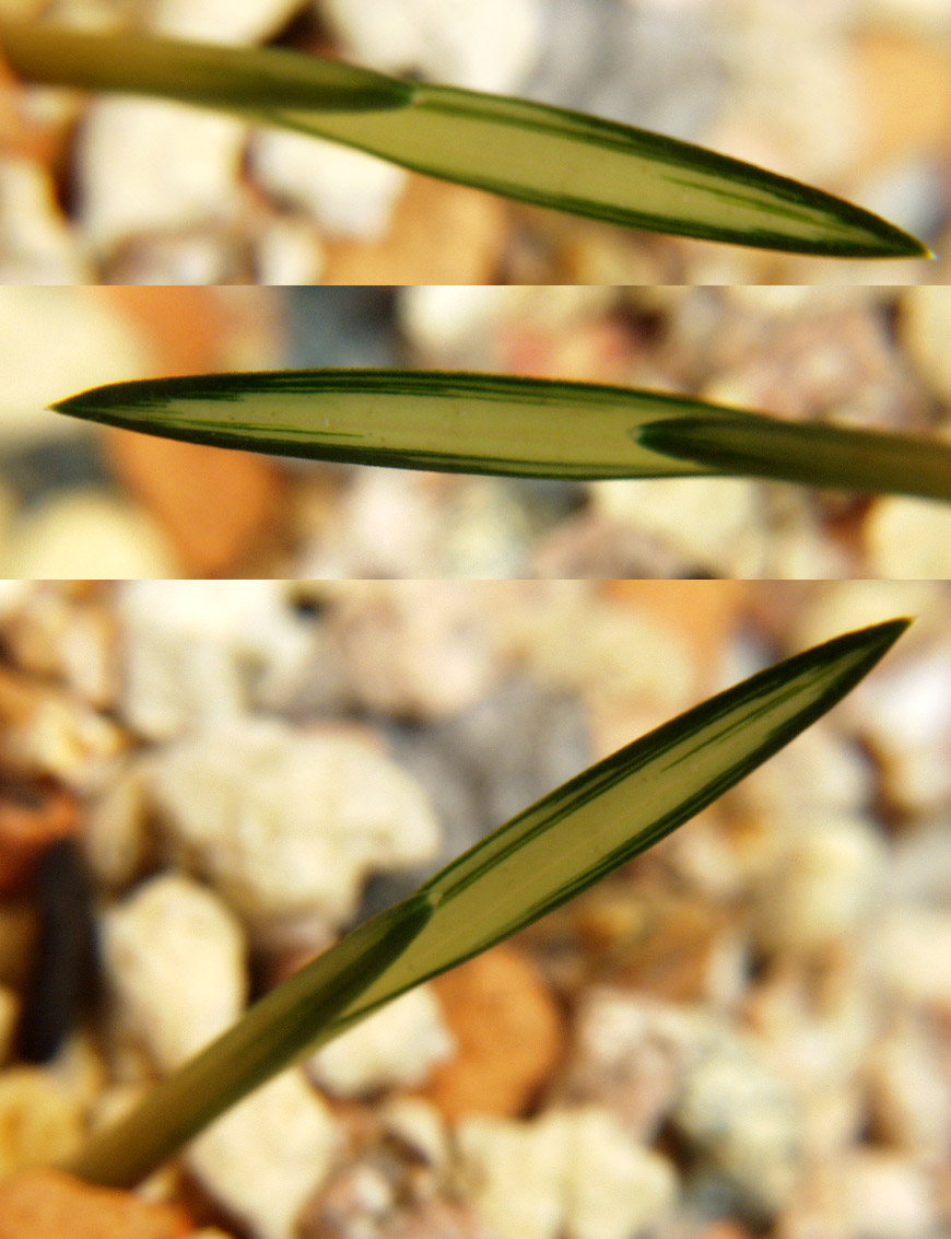 ������ ū������ �� �� �ֽ��ϴ�.