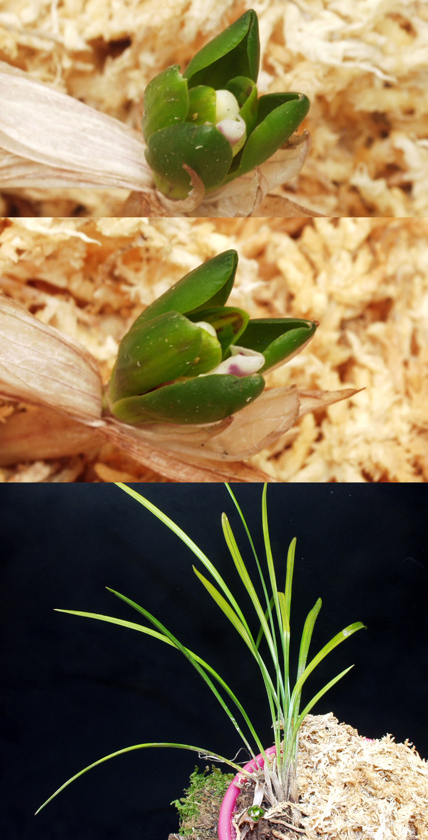 ������ ū������ �� �� �ֽ��ϴ�.