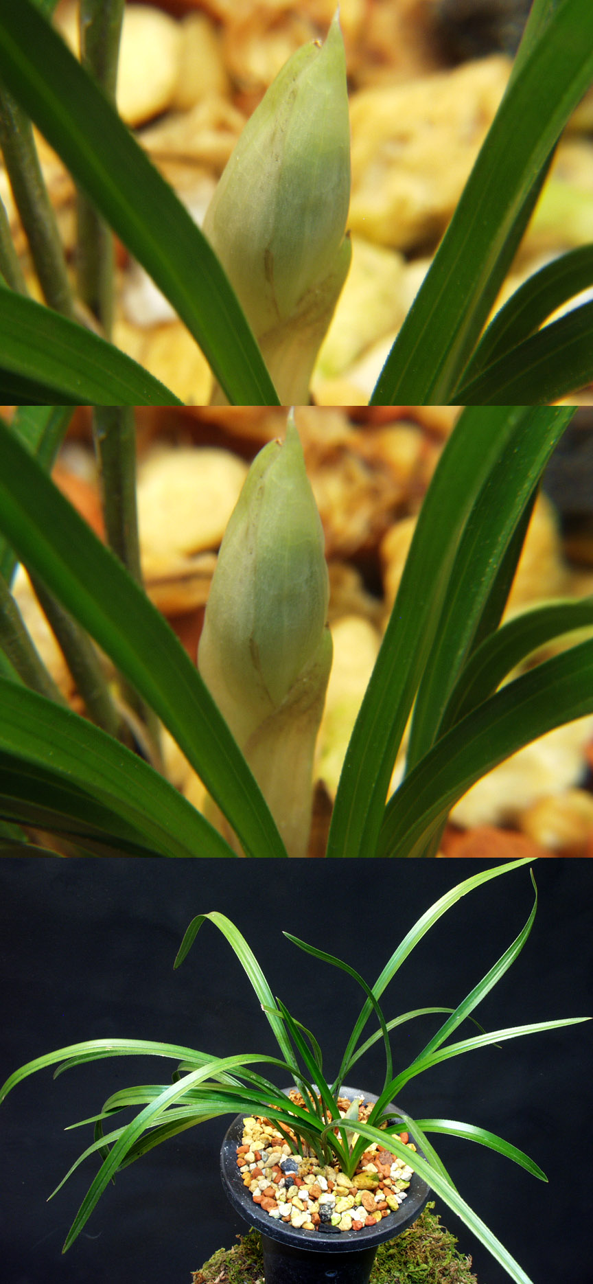 ������ ū������ �� �� �ֽ��ϴ�.