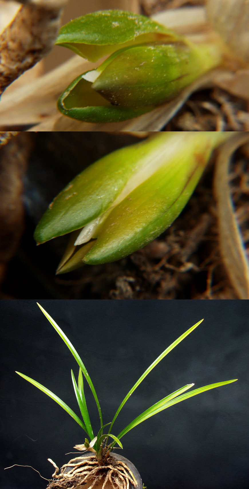 ������ ū������ �� �� �ֽ��ϴ�.