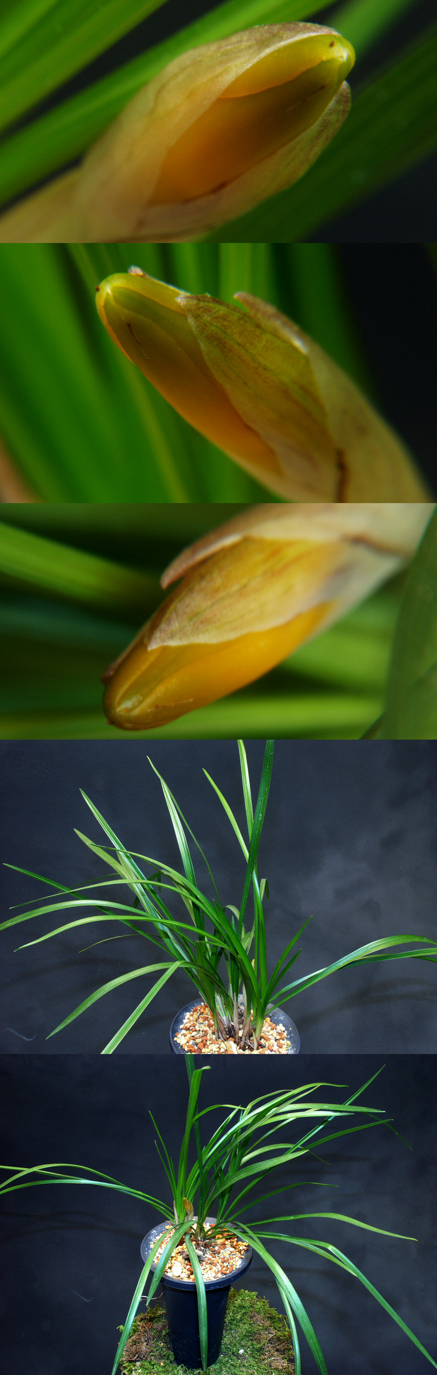 ������ ū������ �� �� �ֽ��ϴ�.