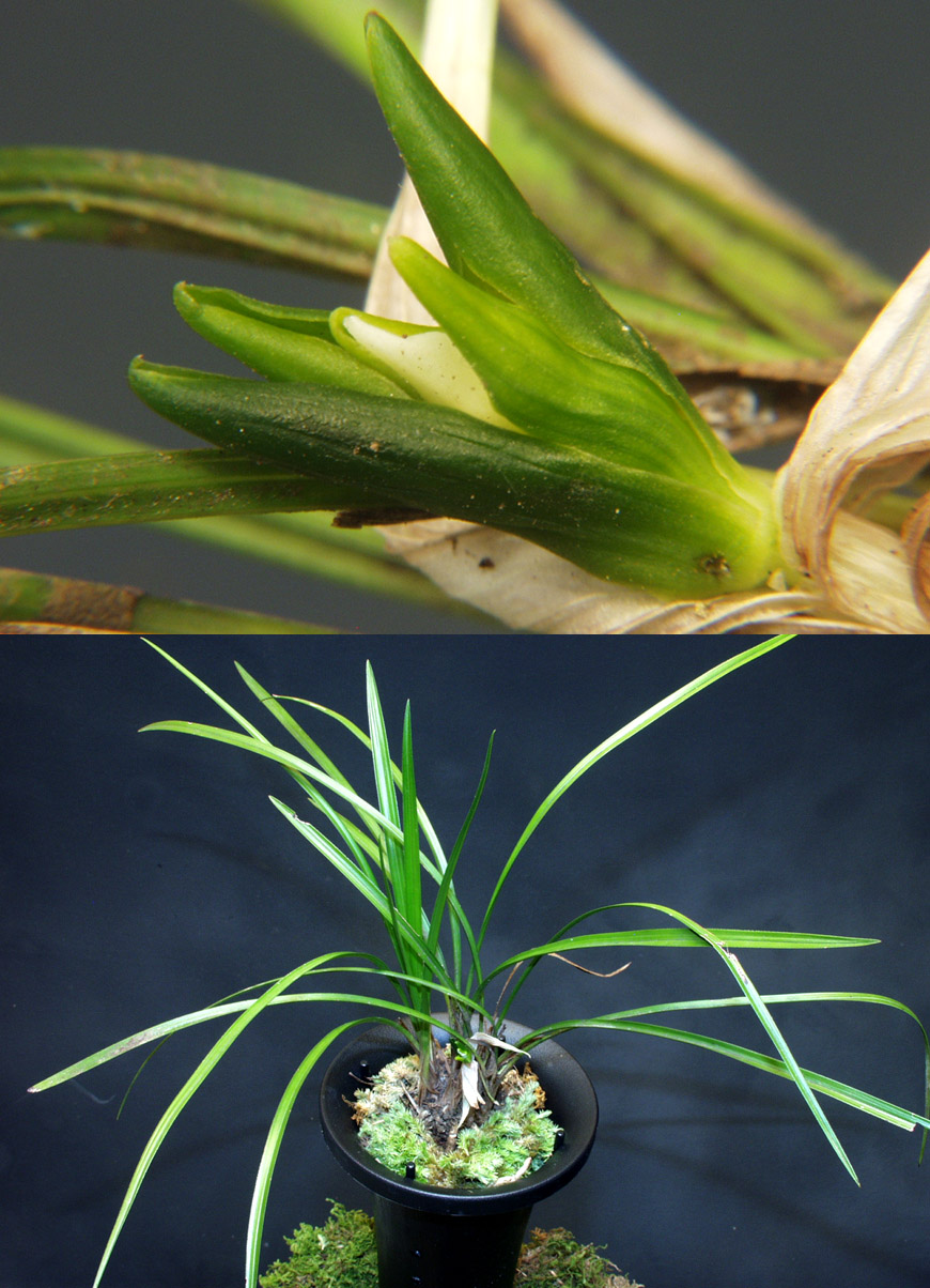 ������ ū������ �� �� �ֽ��ϴ�.