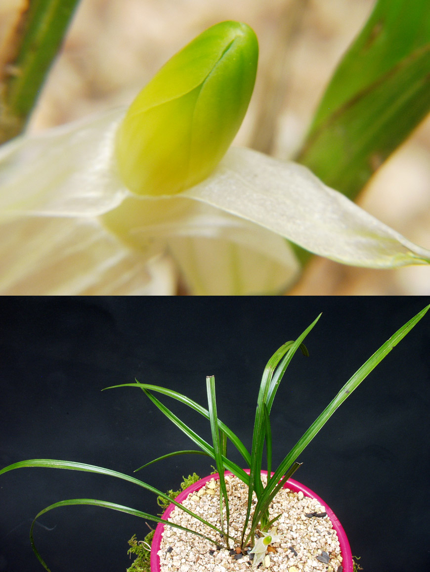 ������ ū������ �� �� �ֽ��ϴ�.