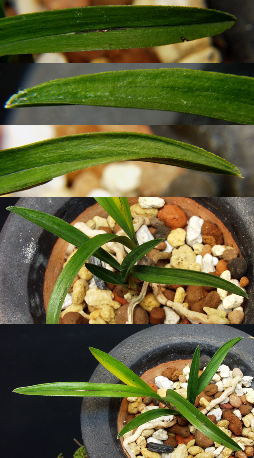 ������ ū������ �� �� �ֽ��ϴ�.