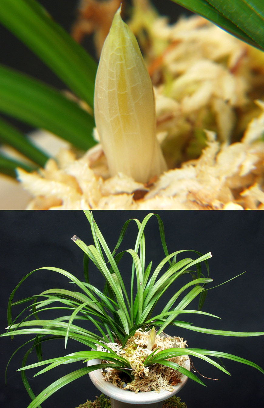 ������ ū������ �� �� �ֽ��ϴ�.