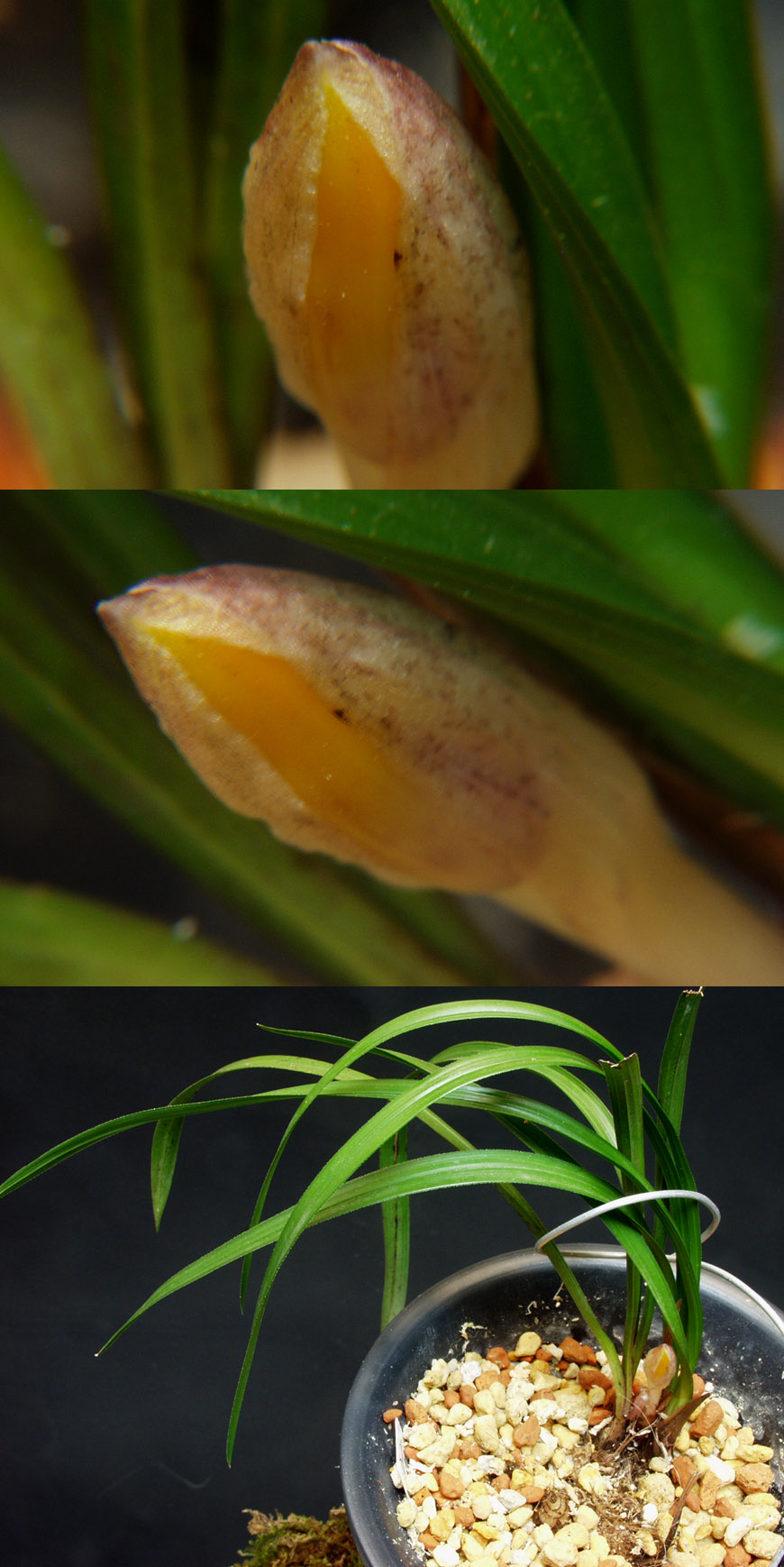 ������ ū������ �� �� �ֽ��ϴ�.