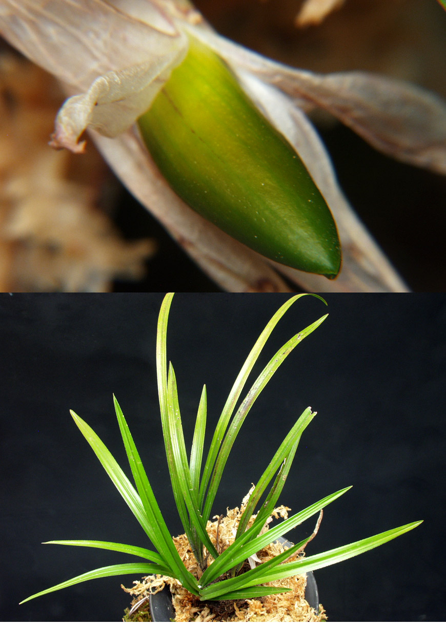 ������ ū������ �� �� �ֽ��ϴ�.