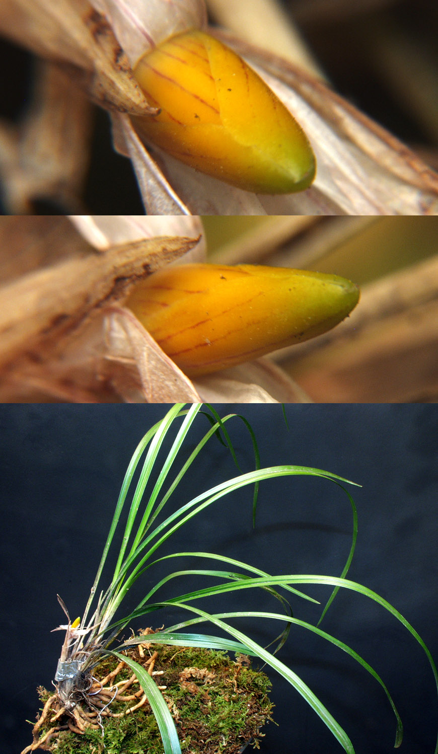 ������ ū������ �� �� �ֽ��ϴ�.