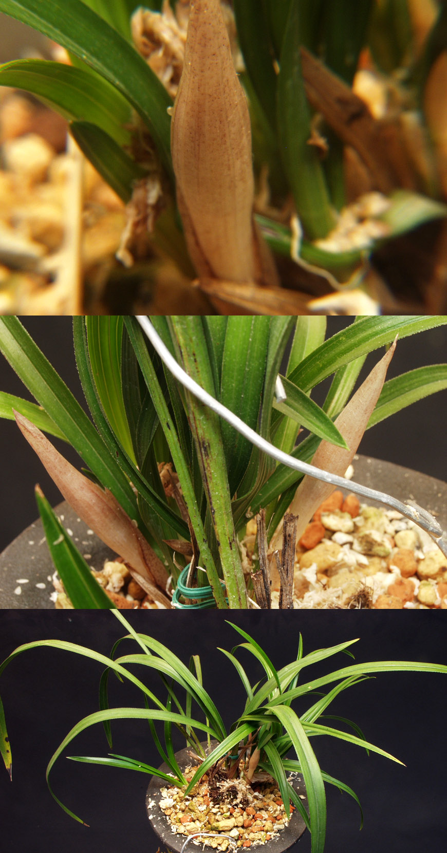 ������ ū������ �� �� �ֽ��ϴ�.