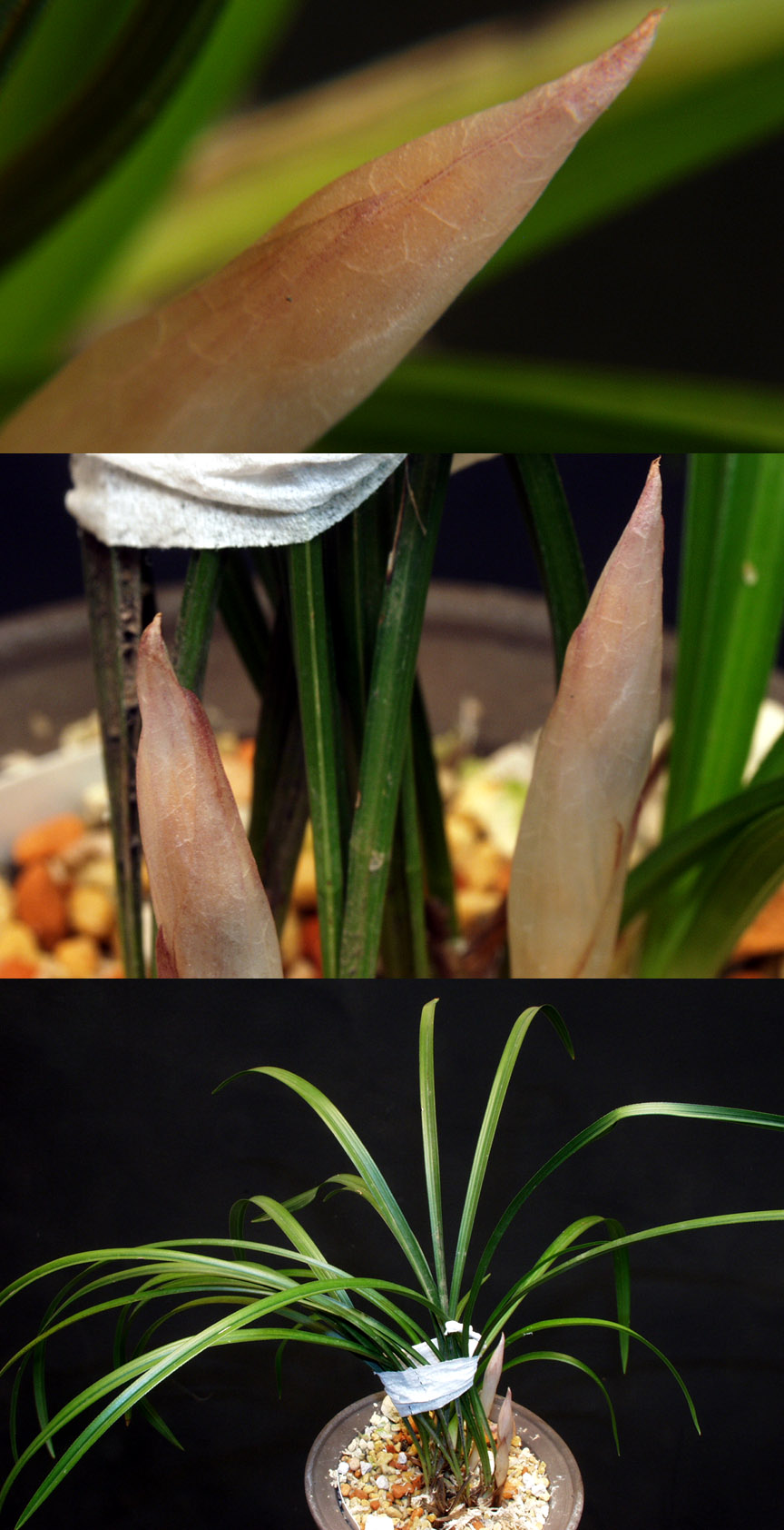 ������ ū������ �� �� �ֽ��ϴ�.