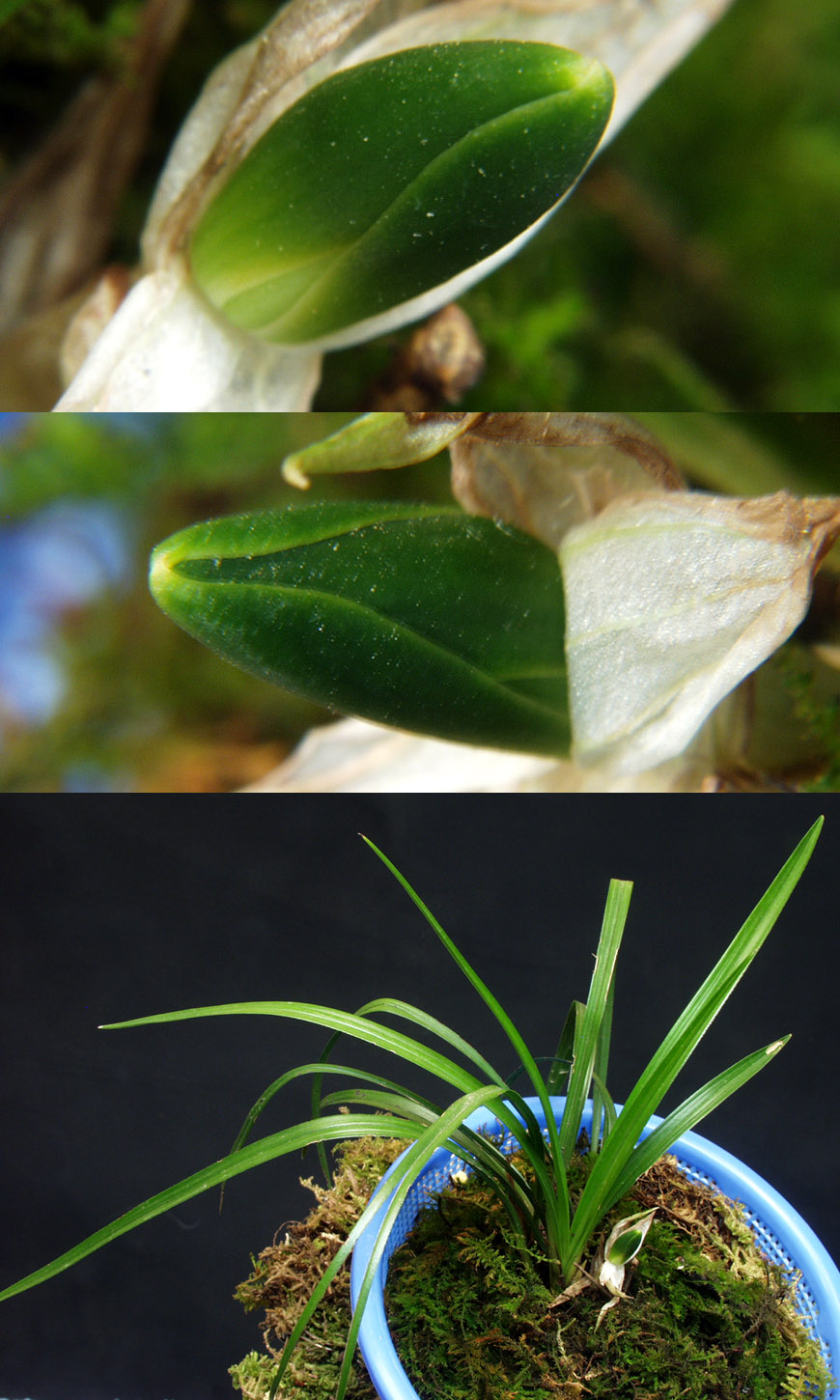 ������ ū������ �� �� �ֽ��ϴ�.