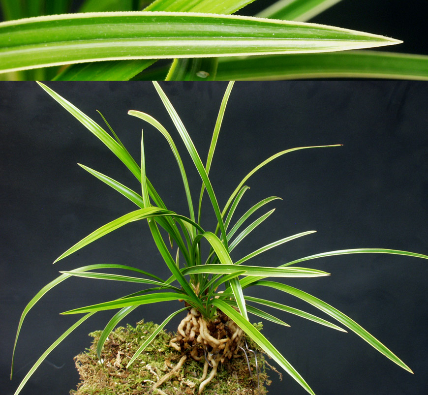 ������ ū������ �� �� �ֽ��ϴ�.