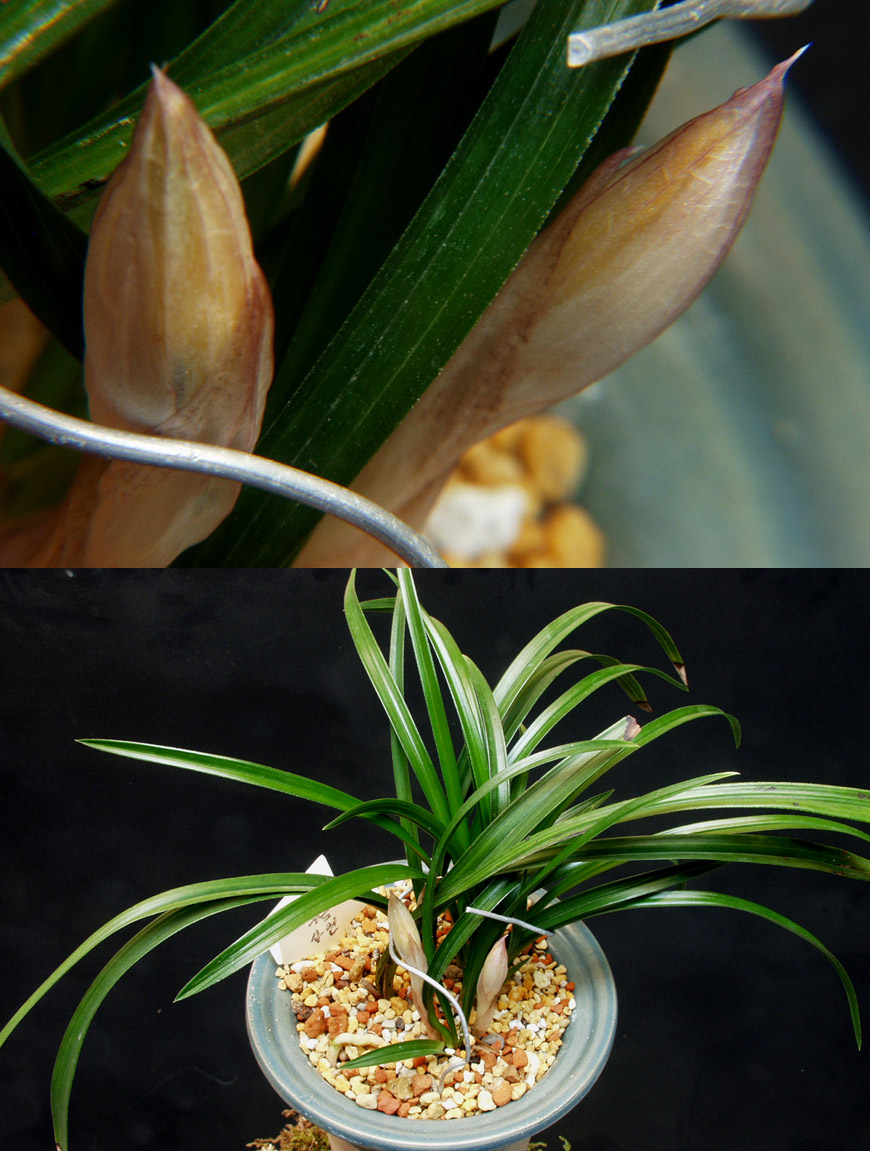 ������ ū������ �� �� �ֽ��ϴ�.